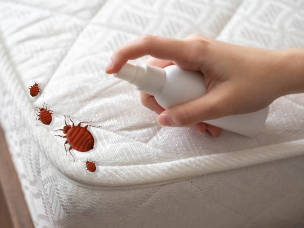 Best Pest Control for Multi-Family Homes  in Lincolndale, NY